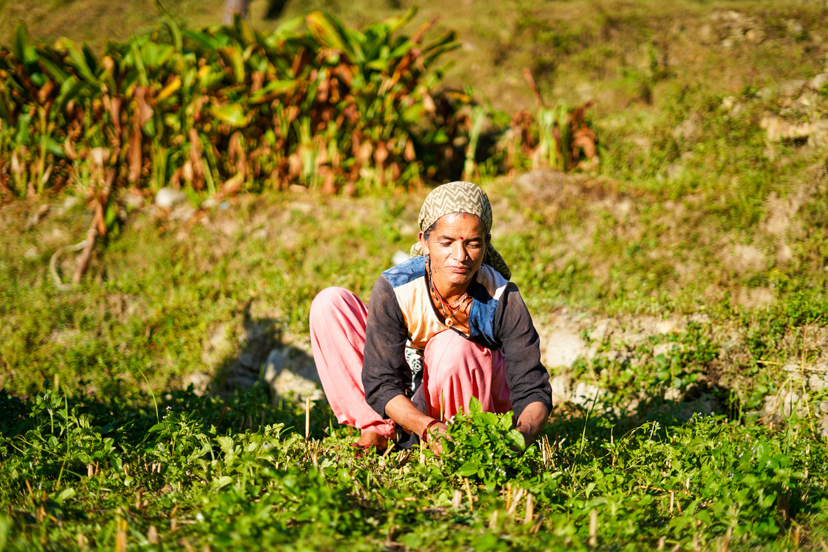 Female Farmer at the Field